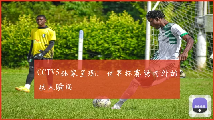 CCTV5独家呈现：世界杯赛场内外的动人瞬间
