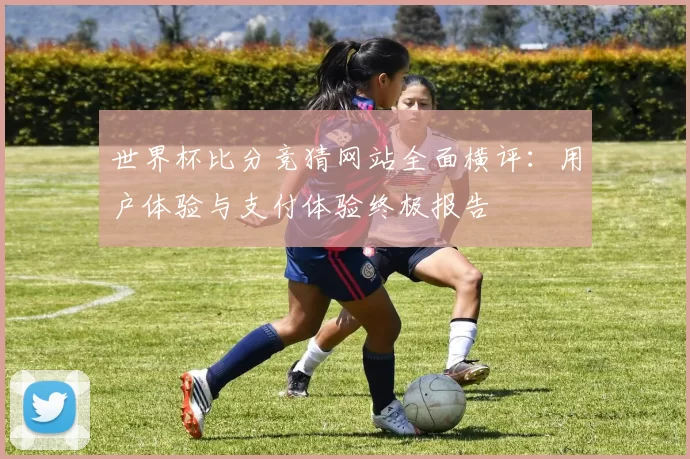 世界杯比分竞猜网站全面横评:用户体验与支付体验终极报告