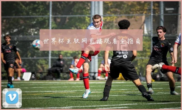 世界杯互联网直播观看全指南
