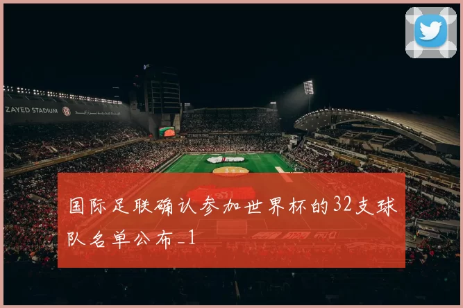 国际足联确认参加世界杯的32支球队名单公布_1