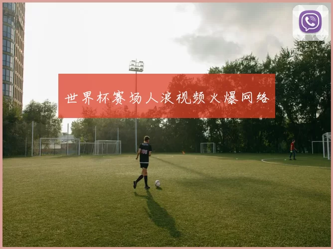 世界杯赛场人浪视频火爆网络