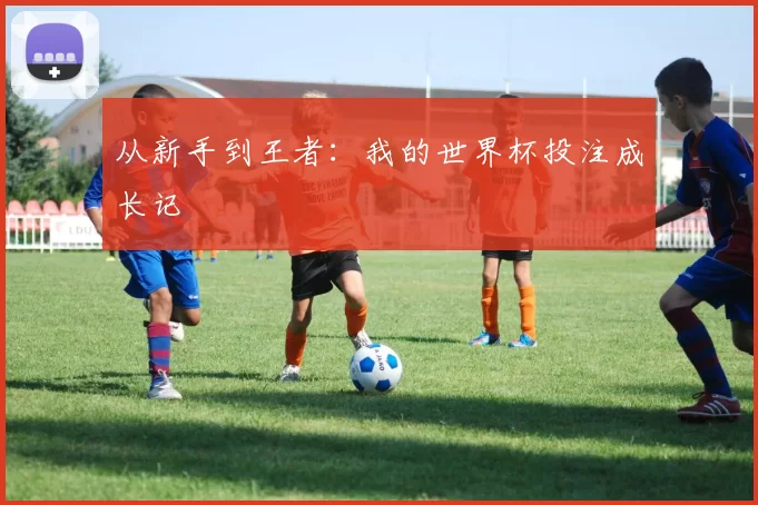 从新手到王者:我的世界杯投注成长记