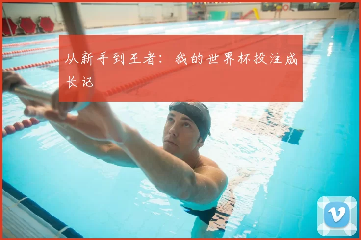 从新手到王者：我的世界杯投注成长记