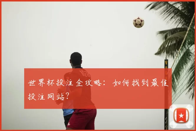世界杯投注全攻略:如何找到最佳投注网站?